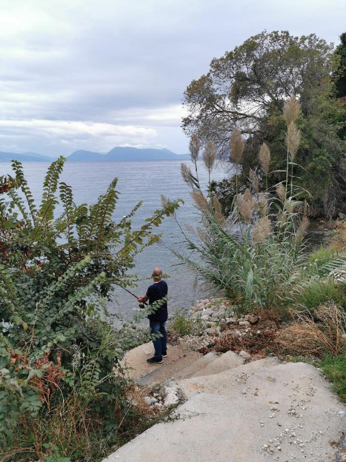 Lefkada Beach House نِكيانا المظهر الخارجي الصورة